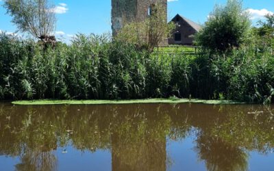 Wenn die Chefrolle vom Mitarbeiter übernommen wird