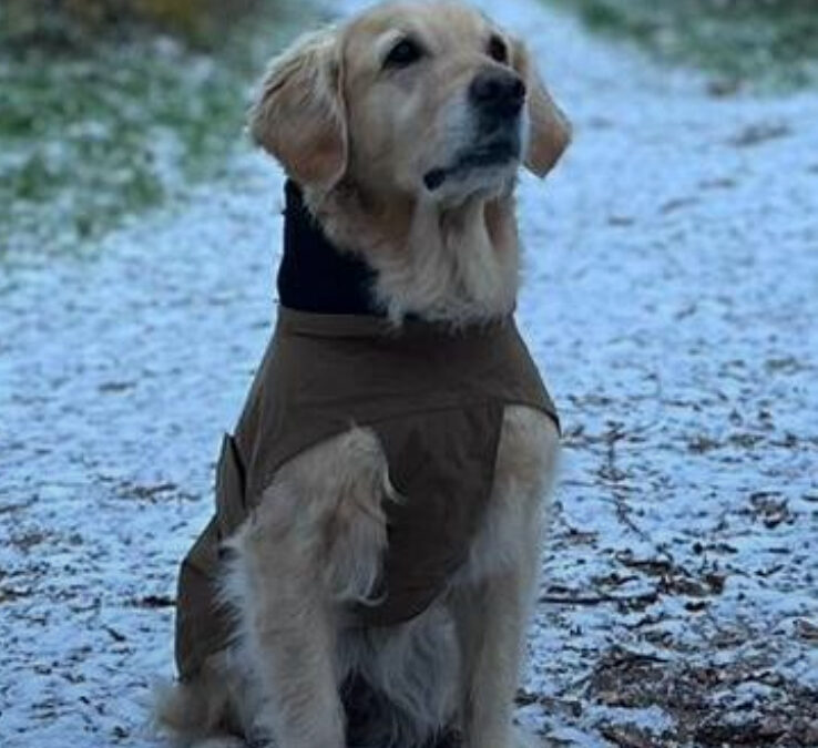 Abschied von Co-Coach Rosi