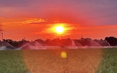 Wie kann ich meine Wut regulieren?