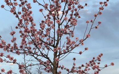 Stecken geblieben im Konflikt?