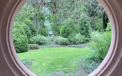 Demütigungen, Herabsetzungen und Ausgrenzung in Teams