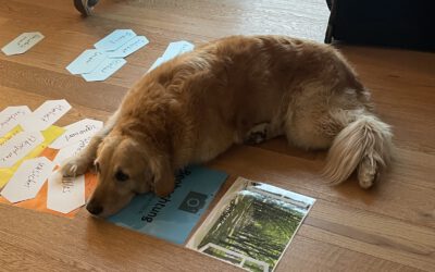 Angst vor Hunden – ist bearbeitbar!