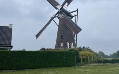 Raus aus dem Hamsterrad!