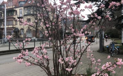 Selbstregulation: Der Schlüssel zu persönlicher Freiheit und Erfolg