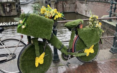 Agile Führung – Notwendigkeit oder Trend?