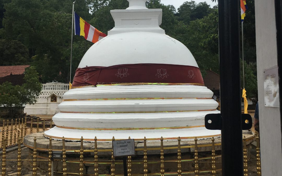 Trauma-Coaching: Wie emotionale Heilung den beruflichen Erfolg transformieren kann