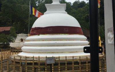 Trauma-Coaching: Wie emotionale Heilung den beruflichen Erfolg transformieren kann