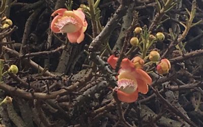 Hochsensibilität – Bin ich besonders feinfühlig?