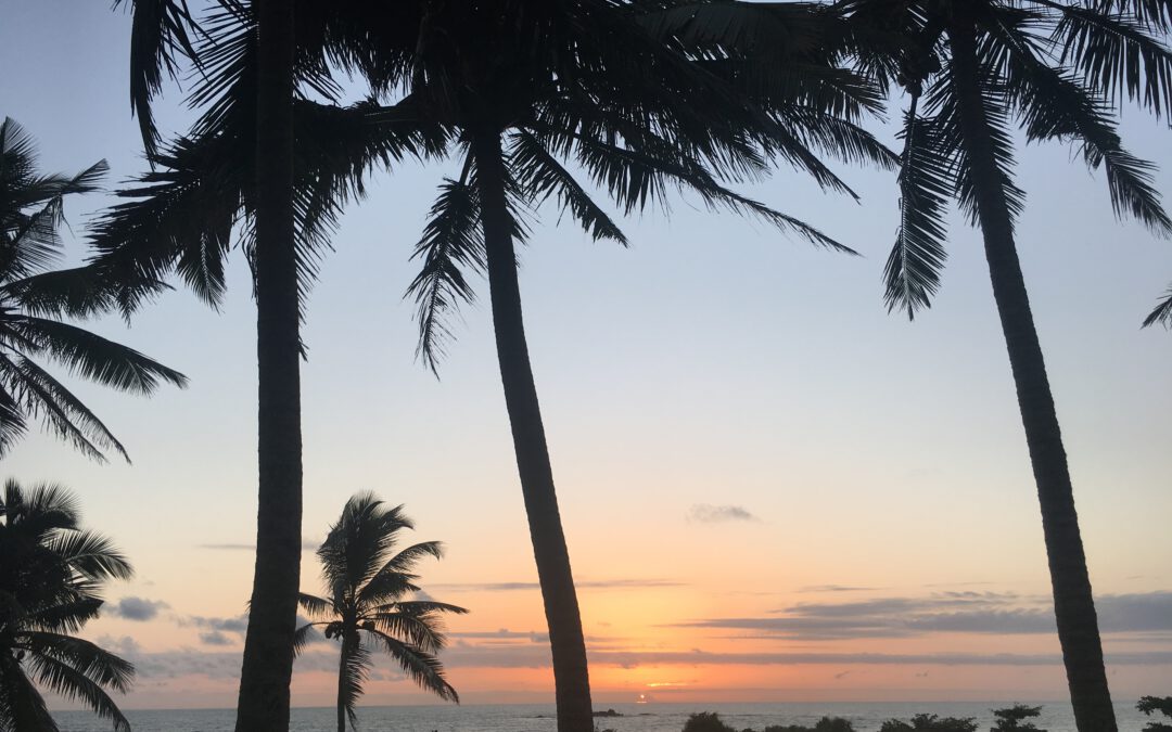 Wie gehst du mir dir selbst um? Welche inneren Stimmen hast du? Wertest du dich ab? Oder werstest du dich auf?