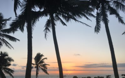 Wie gehst du mir dir selbst um? Welche inneren Stimmen hast du? Wertest du dich ab? Oder werstest du dich auf?