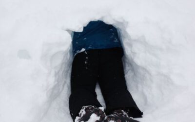 Wenn die Pferde mit dir durchgehen – Die Bedeutung der Impulskontrolle für Führungskräfte