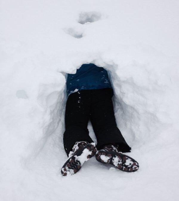 Wenn die Pferde mit dir durchgehen – Die Bedeutung der Impulskontrolle für Führungskräfte
